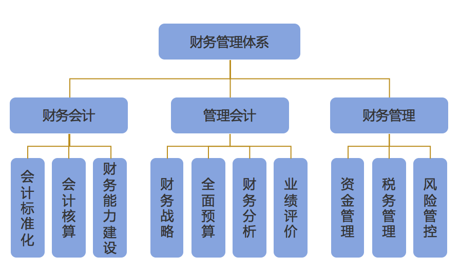 企业财务管理(财务信息化管理)「凯发娱发com咨询」