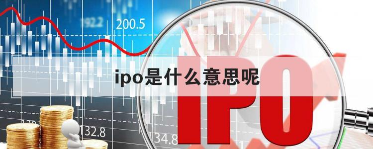 ipo是啥意思(ipo 审核状态为已反馈