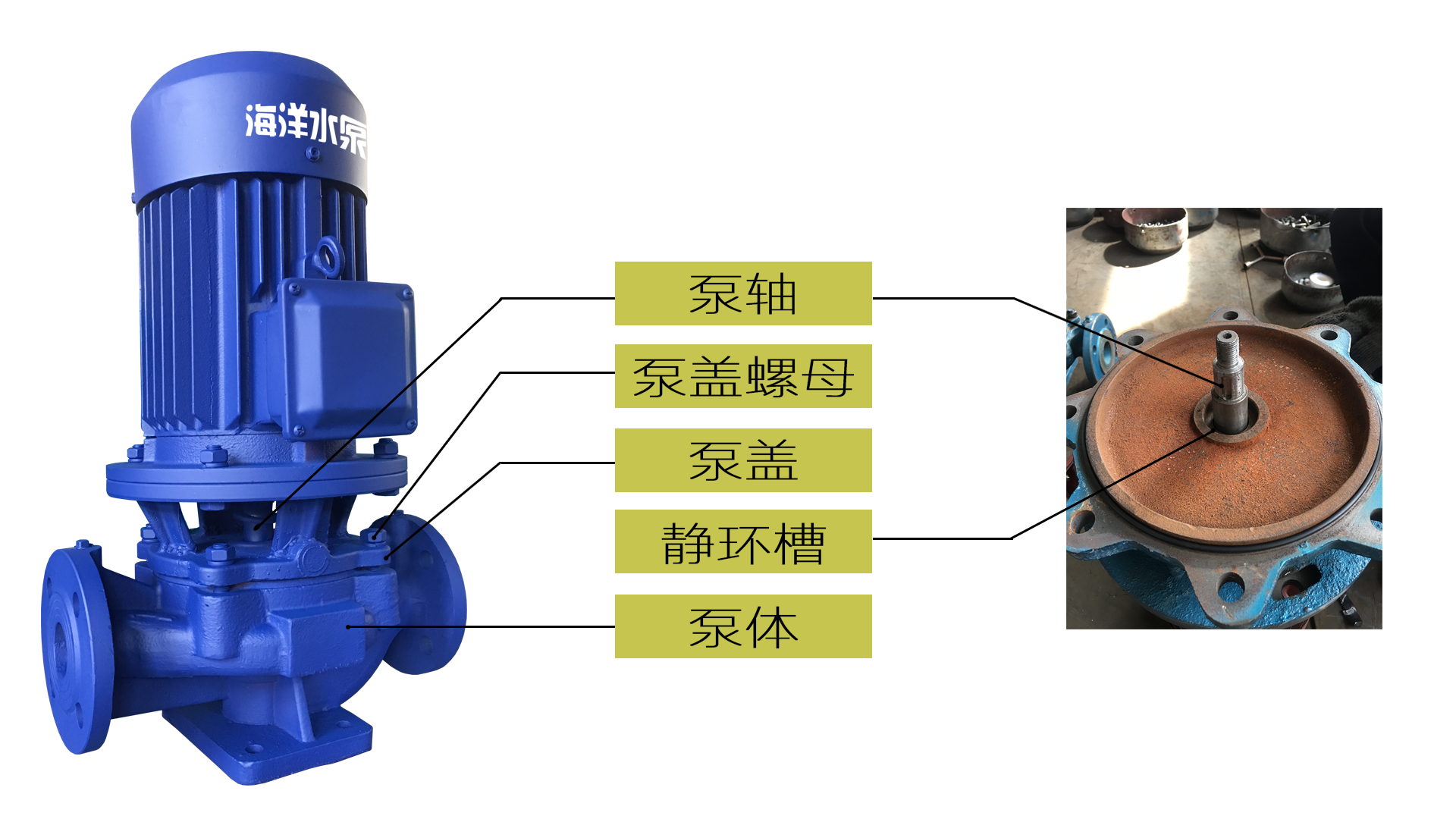 核电上市公司(中国核电港股上市)