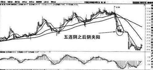 ipo重启(证监会重启ipo)